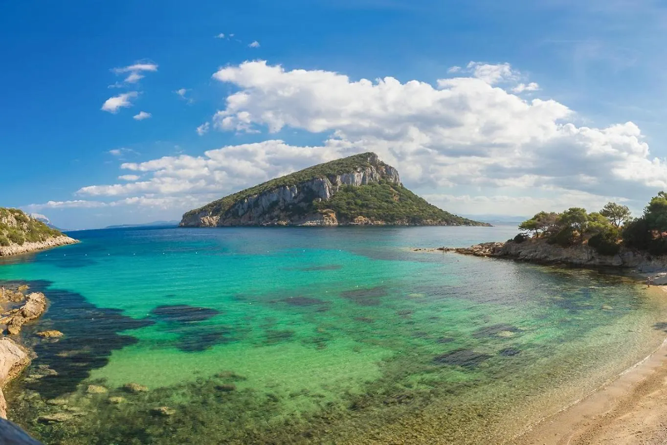 Novita' Seahorse House Spiaggia A 400M Wifi & Aria Condizionata Golfo Aranci